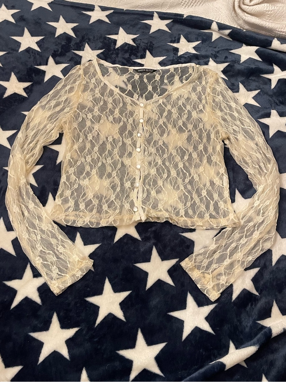 Cream Sheer Lace Button-Front Top